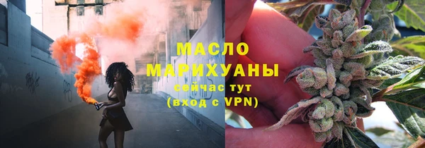 шишки Каменка