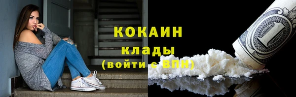тгк Касимов