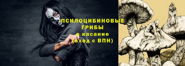тгк Касимов