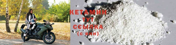 шишки Каменка